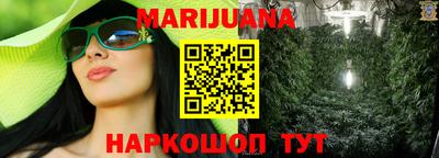гидропоника Новозыбков
