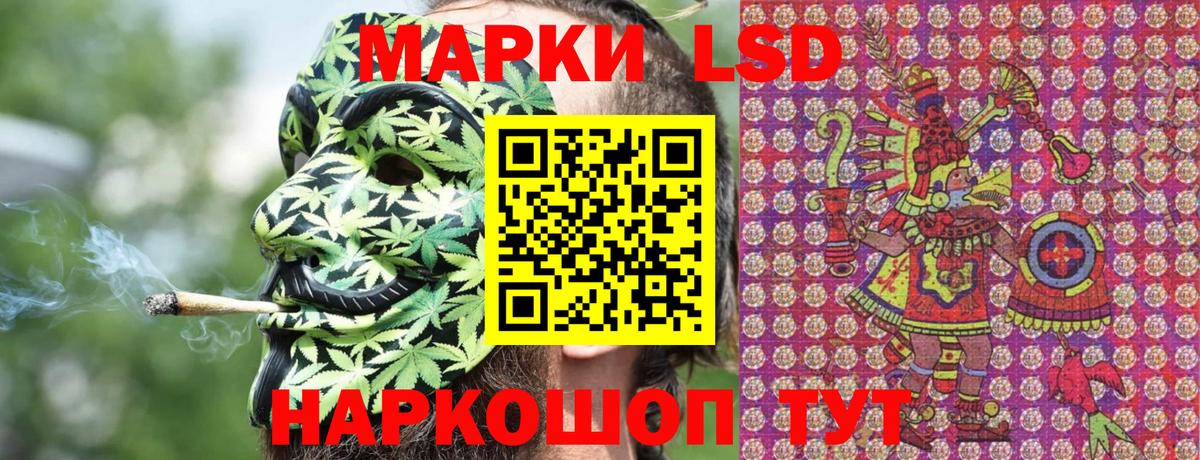 закладка  Наркотические марки 1,8мг  Вход с VPN  Наркотические марки 1,8мг  Александров 